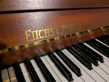 Fuchs mohr upright - fuchs, compact
