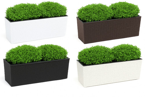 Rattan trough plant - plant, pot