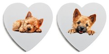 Norwich Terrier Fridge Magnet