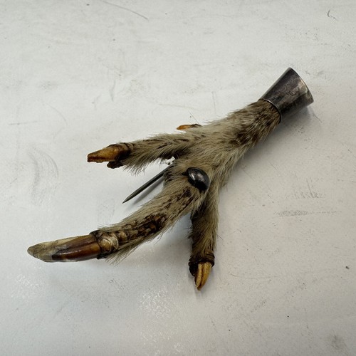 Scottish grouse foot - grouse, brooch