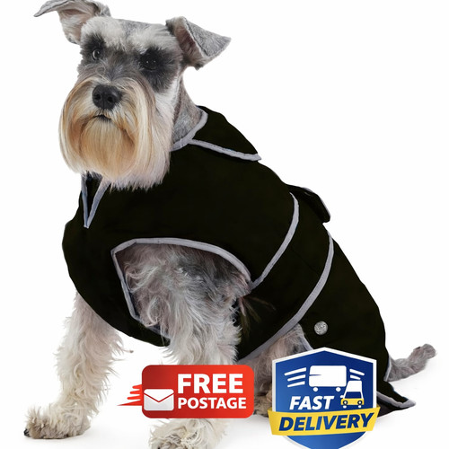Muddy paws stormguard dog - paws,