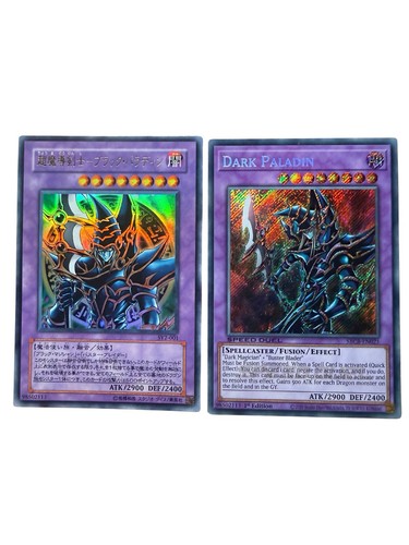 Yugioh dark paladin card - dark, 2