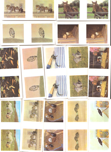 Weetabix cards our pets - our,