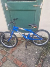 Raleight  gecko  boys mountain