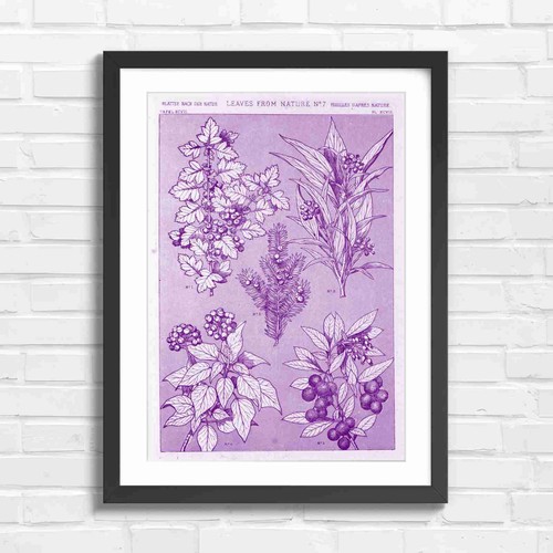 Vintage botanical leaves and - leaves,