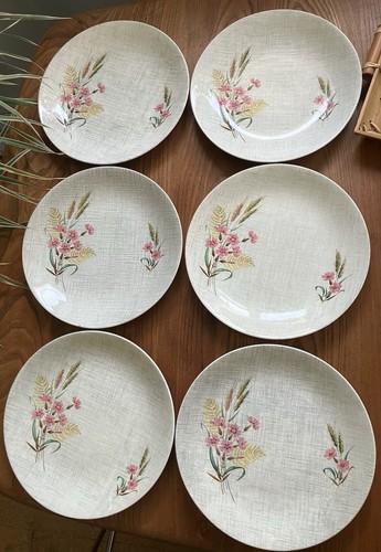 Vintage meakin 6 dinner - meakin,