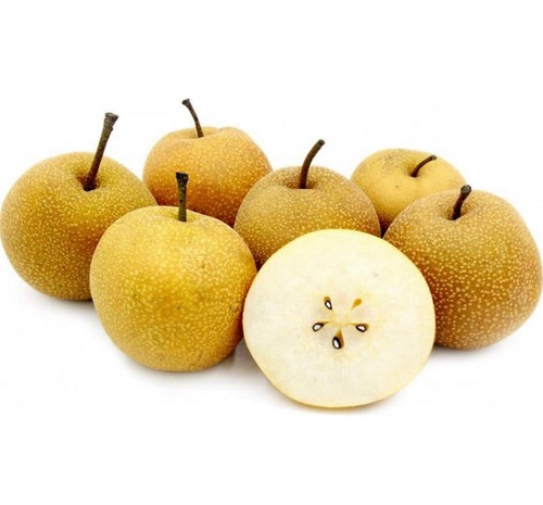Pyrus pyrifolia nashi 梨 - cv,