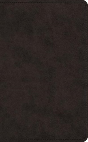 Esv vest pocket new testament - esv,