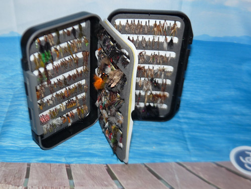 100 grayling and trout - grayling,