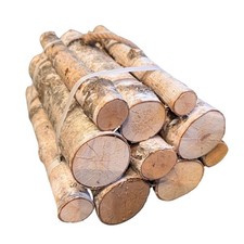 10 Decorative Silver Birch