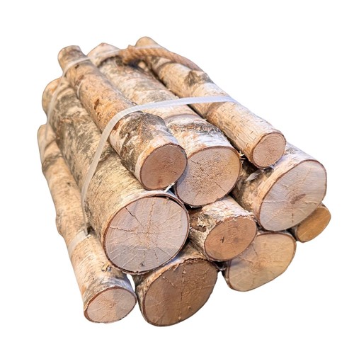 Decorative silver birch - 10,