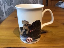 Roy Kirkham Fine Bone China Dog Lovers Mug - Labradors