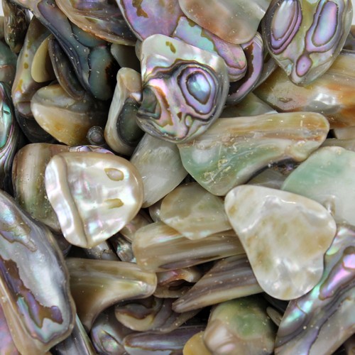Chakra stone abalone shell - chakra,