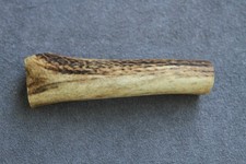 REAL RED DEER ANTLER SECTION