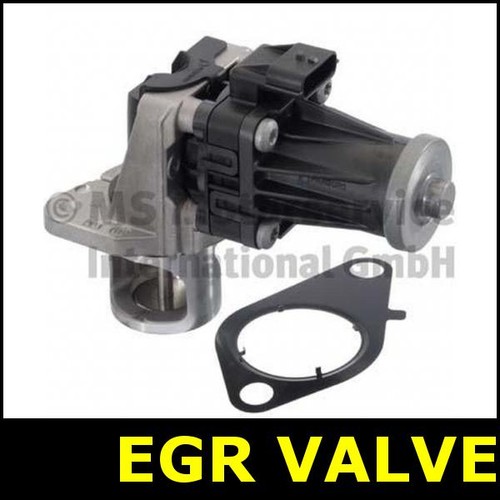 Egr valve for - egr,