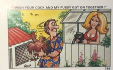 Vintage Saucy Seaside Comic Postcard Sapphire No.156. Signed by QUIP