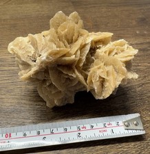Desert rose crystal selenite - desert,