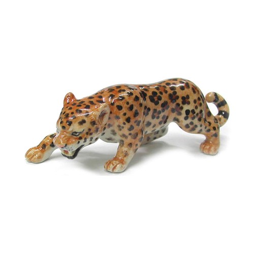 Northern rose leopard hunting - northern,