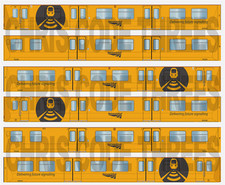 Adhesive Vinyl Class 313 Decal