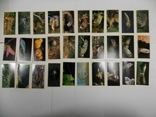 Grandee Cigarette Cards