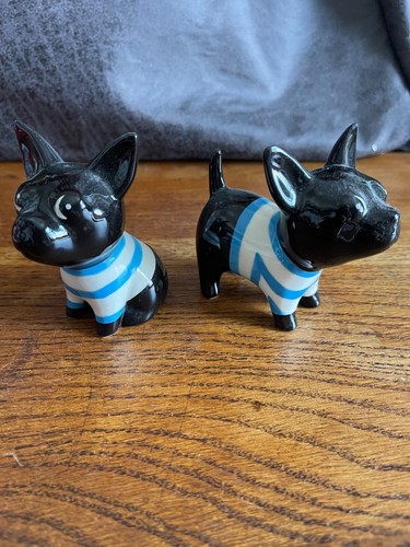 French bull dog - french,