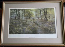 Bluebell Glade by Willam R