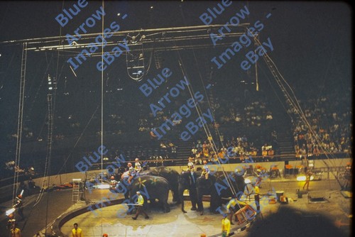 1968 35mm slides lot 15 - 1968,