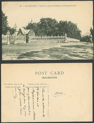 Mauritius old postcard - mauritius,