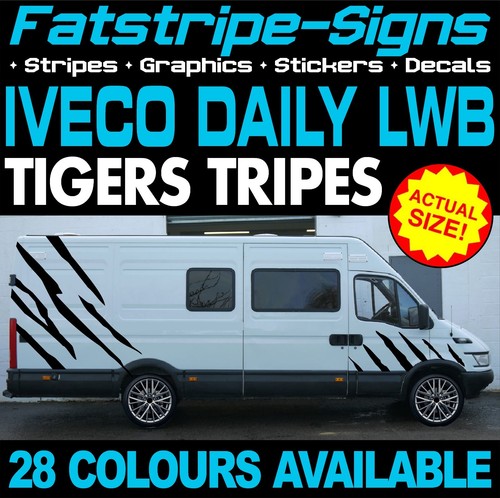 Fits iveco daily graphics - fits,