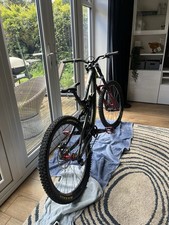 Medium Saracen Myst