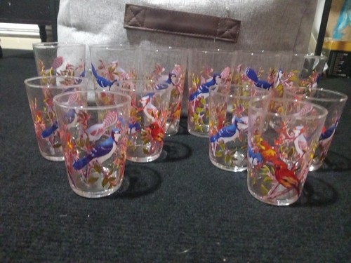Vintage 1960s exotic birds - vintage,