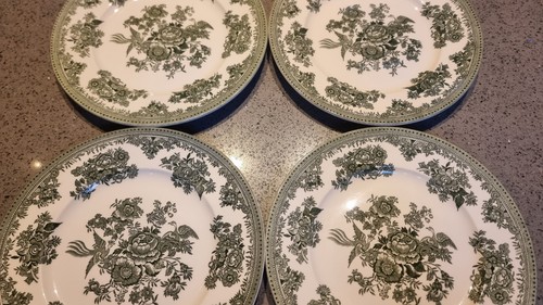 22cm burleigh green - x,