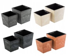 Plant flower pot concrete - plant,