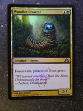 MTG Magic Cards: WOODLOT CRAWLER  FOIL # 4H26