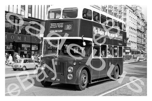 Bus photograph edinburgh t - photograph, c.t
