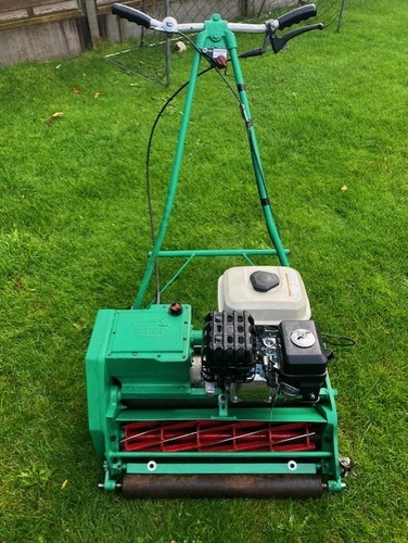Lloyds paladin cricket wicket