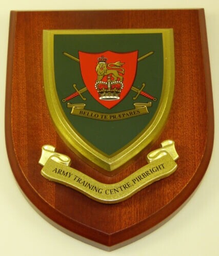 Army training centre pirbright - training,