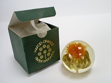 VINTAGE HAFOD GRANGE SAFFRON