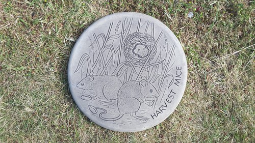 Garden stepping stones harvest - stepping,
