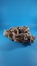 Desert Rose Tunisia North