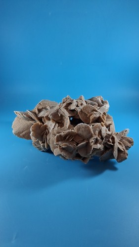 Desert rose tunisia north - tunisia,