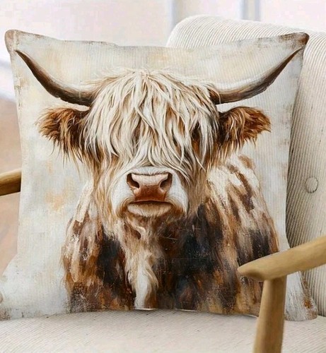 Beautiful highland cow - highland,