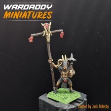 Pro painted Warhammer fantasy