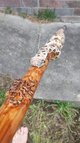 Walking stick rattlesnake and - stick,