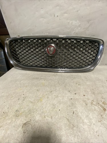 Genuine jaguar front - xe,