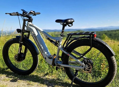 Dual motor electric - dual,