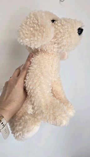 Guide dogs registered - dogs,