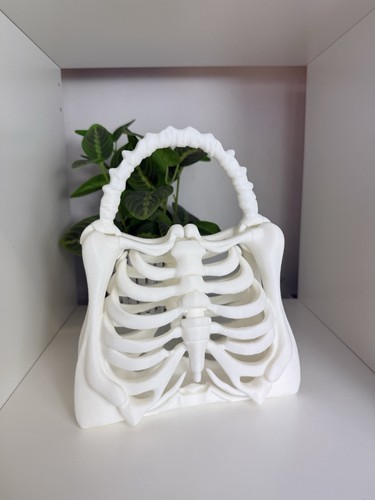 Skeleton rib cage - rib, handbag