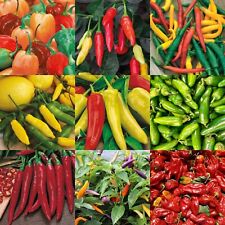 Chilli Pepper Seeds Selection Mr Fothergill's Hot & Mild Chili FREE UK DELIVERY