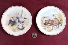 Wildlife Of Britain 6"